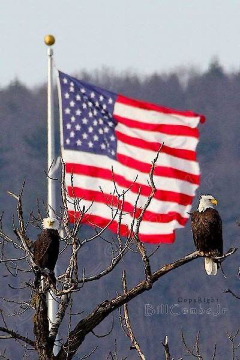 I will post this everyday till 2024 and beg you fellow Americans to go out in masses and vote, vote as if your life depends on it, bcos it does!!!!!
⭐️⭐️🇺🇸🇺🇸🇺🇸⭐️🇺🇸🇺🇸🇺🇸⭐️⭐️

Pls RT !
Not looking for followers, I just need this message across.
Thank you real patriots.