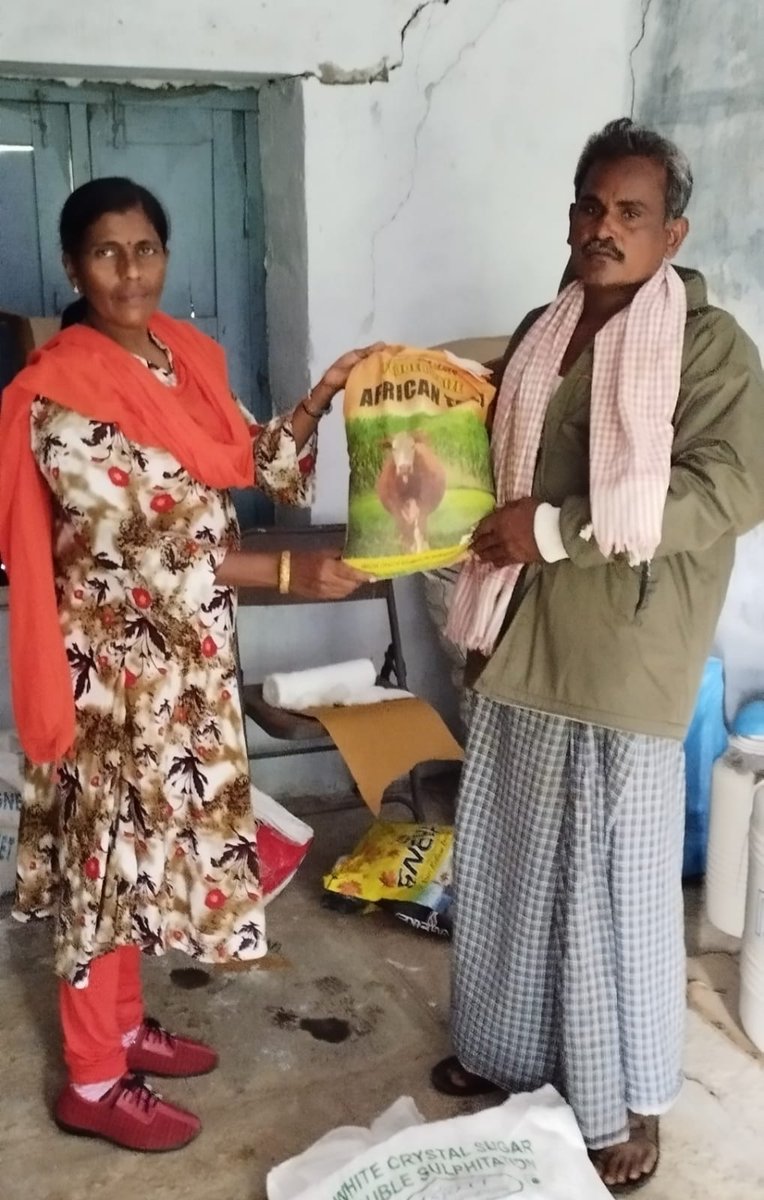 AHVS_Karnataka's tweet photo. ದಿನಾಂಕ 12/09/22 ರಂದು ಕಲಬುರಗಿ ಜಿಲ್ಲೆಯ ಫಿರೋಜಬಾದ ಗ್ರಾಮದ ರೈತರಿಗೆ ಮೆಕ್ಕೆ ಜೋಳದ ಮೇವಿನ ಬೀಜ ವಿತರಣಾ ಕಾರ್ಯಕ್ರಮವನ್ನು ಡಾ ವೈಜನಾಥ ಎಸ್ ಮಮ್ಮನಿ ಹಿರಿಯ ಪಶುವೈದ್ಯಾಧಿಕಾರಿ ರವರ ನೇತೃತ್ವದಲ್ಲಿ ವಿತರಿಸಲಾಯಿತು.
#Kalburgi #Fodderseeds https://t.co/8WH3o8rjC2