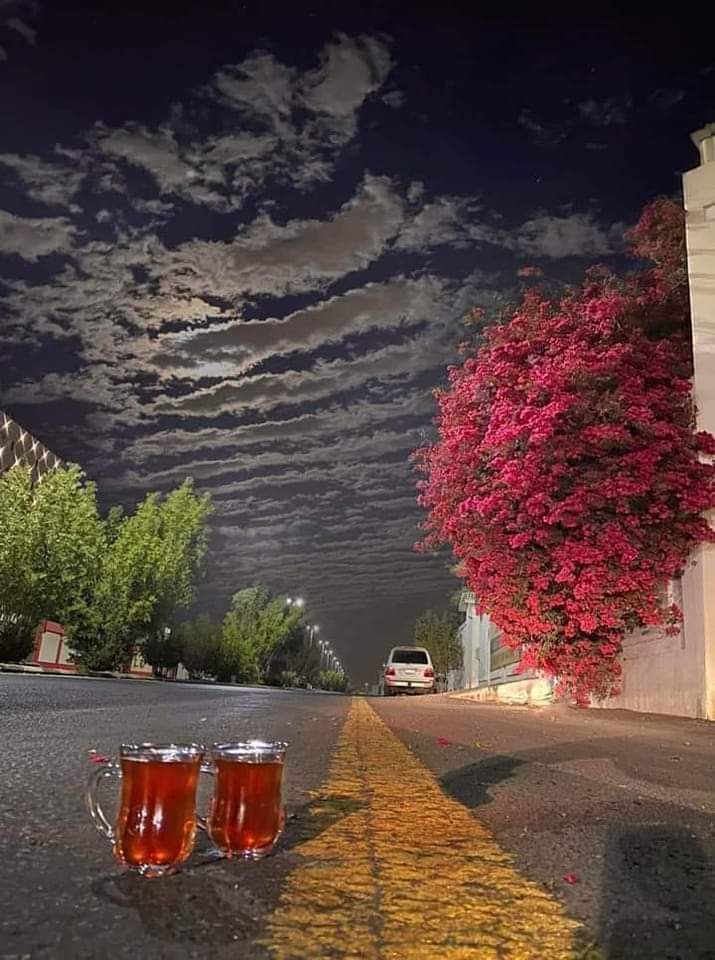 تيجي نشرب شاي ... ويحسدنا الرايح والجاي!!