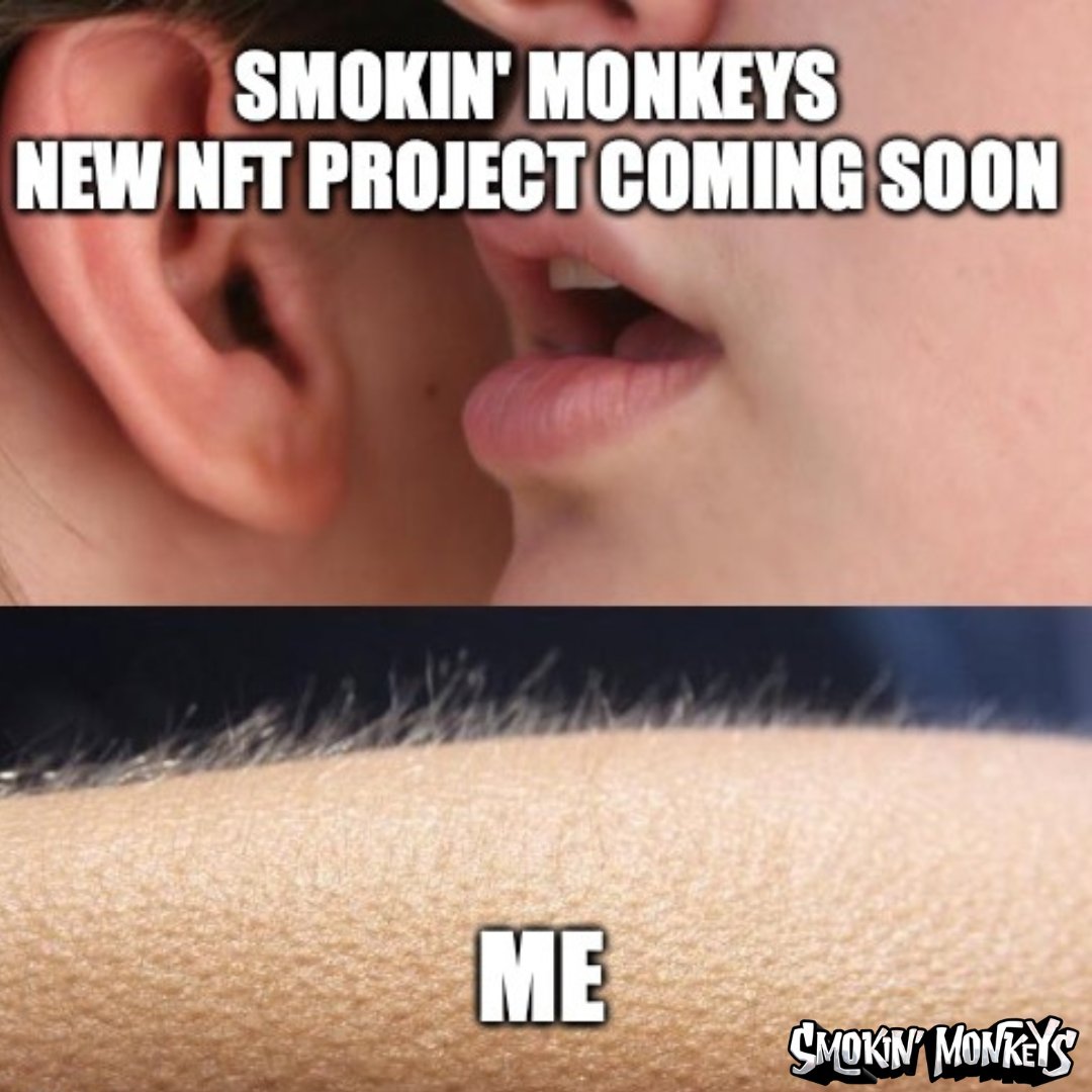 SMOKIN’ MONKEYS tweet media