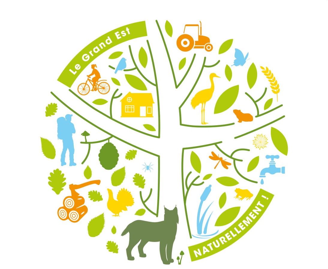 ReseauBiodiv's tweet photo. Plus qu'une semaine pour vous inscrire ! 
RDV le 20/09/2022 10:30 pour la webconférence 'Stratégie Régionale de la Biodiversité : retour d'expérience de la Région Grand Est'
Inscription ici : https://t.co/y2osIkjMDQ
#collterr #biodiversite #environnement https://t.co/cvEZ84tQ1w