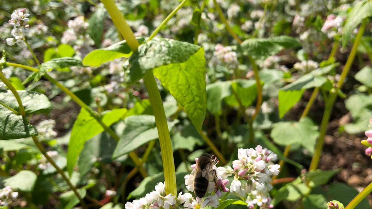 SWFarmConsultants tweet media