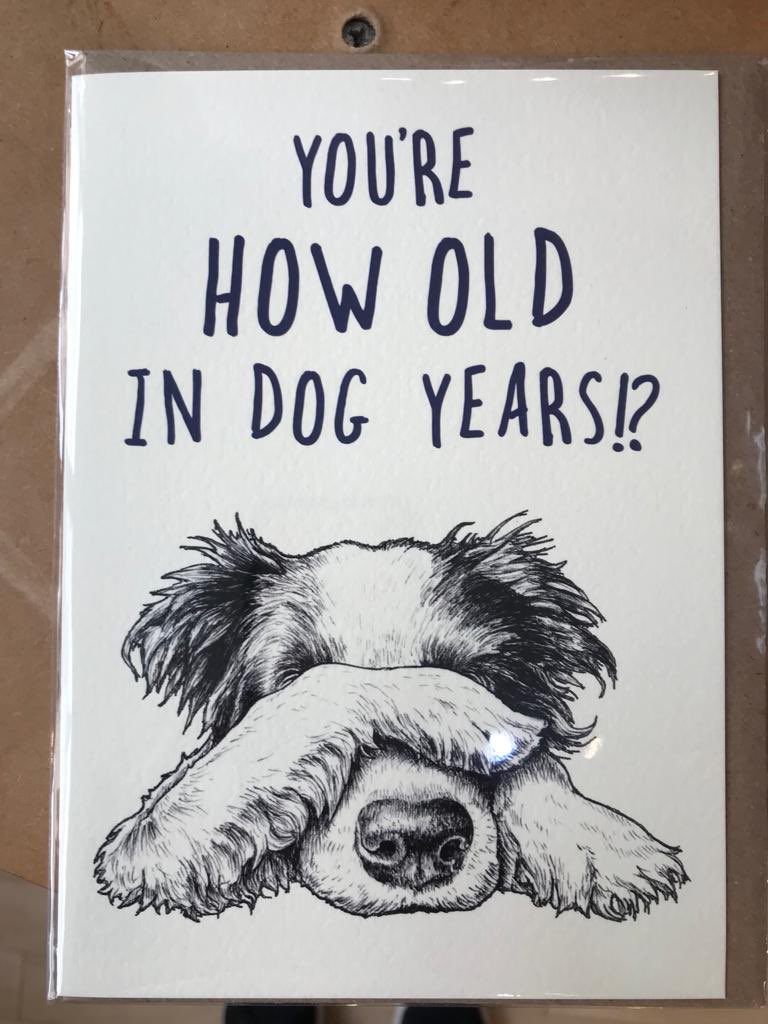 We love this birthday card 😅🐾<a href="/visitbath/">Visit Bath</a> @bathbid <a href="/salisburybid/">Salisbury BID</a> <a href="/bathshopping/">Best of Bath 2</a> #greetingscards #humour #gifts #jellycat #shoplocal #indieretail #supportsmallbusiness