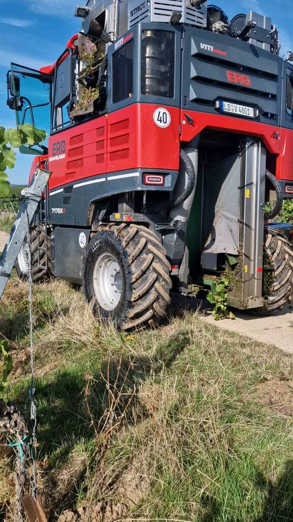 weingut_richter's tweet photo. Heute ist der Vollernter für uns Unterwegs. https://t.co/ACRiVTCU9V https://t.co/IgNotR8ELl