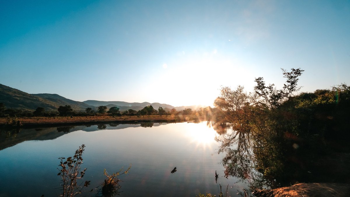 RoyalZambezi's tweet photo. Come to life before dawn with the Park. Experience a game drive of royal stature. https://t.co/6a5iQh81KO