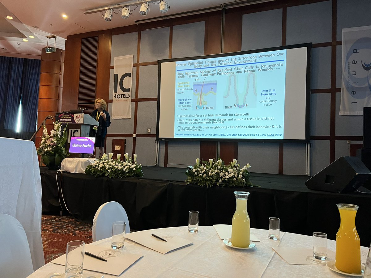 Dr. ᐯᗩᒪEᖇIE ᕼOᖇᔕᒪEY 🔬 (@valeriejhorsley) on Twitter photo <a href="/ElaineFuchs/">Elaine Fuchs</a> speaks about regulation of stem cells by lymphatics ! Beautiful work from <a href="/ShiriGurCohen/">Shiri Gur-Cohen 💔🎗️🟦</a> and collaborators! #stemcell2022 <a href="/ElaineFuchs/">Elaine Fuchs</a> speaks about regulation of stem cells by lymphatics ! Beautiful work from <a href="/ShiriGurCohen/">Shiri Gur-Cohen 💔🎗️🟦</a> and collaborators! #stemcell2022