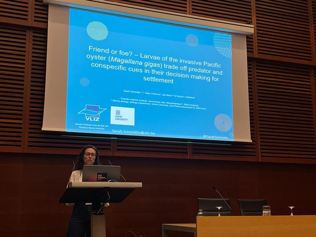 SarahSchmidy's tweet photo. Very happy to have attended #ECSA59 the first academic conference of my PhD! Coming back very inspired and impressed 😁 https://t.co/aBLK6ZCayd