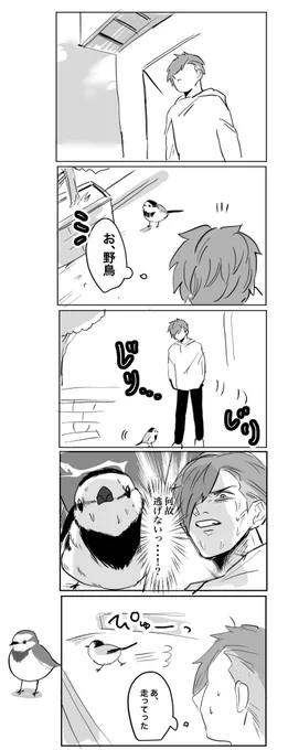 歩きまくるあの野鳥 