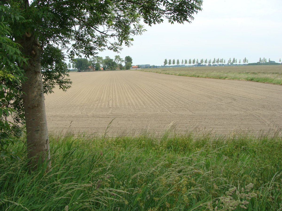 Heeft u een agrarisch bedrijf, dan heeft u van 𝟓 𝐭𝐨𝐭 𝐞𝐧 𝐦𝐞𝐭 𝟐𝟔 𝐬𝐞𝐩𝐭𝐞𝐦𝐛𝐞𝐫 𝟐𝟎𝟐𝟐 een extra mogelijkheid om een voorschot op de basis– en vergroeningsbetaling uit het Gemeenschappelijk landbouwbeleid (GLB) aan te vragen. #accountant
ow.ly/BMXY50KGB0e