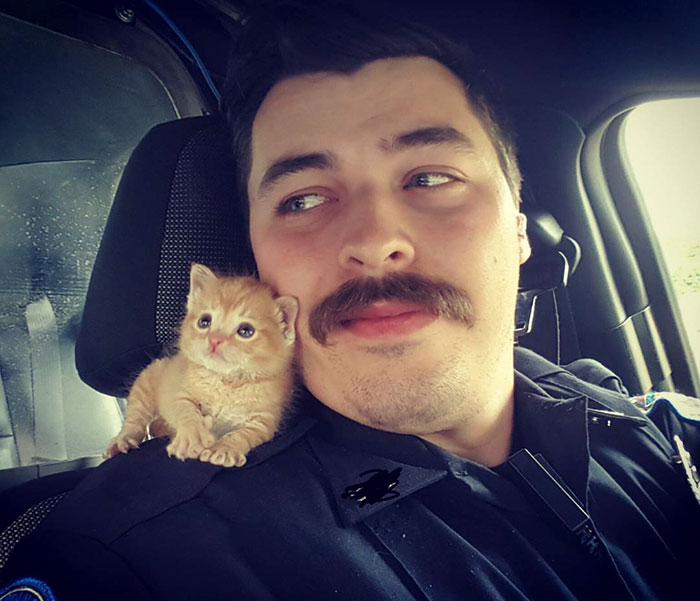 Julesk23's tweet photo. #Cats #CatRescue #CatCop Cop Rescues Kitten Left In The Rain And Now They’re Fighting Crimes Together https://t.co/zH8LI84SXB