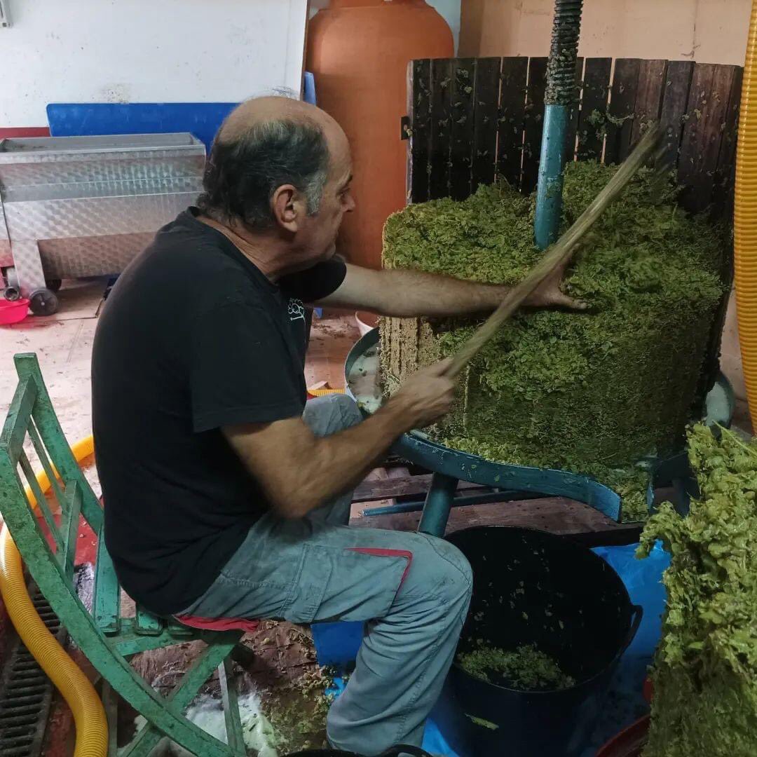 CRDOValdeorras's tweet photo. ✅#TempoDeVendima
👉A adega José Luis Aristegui xa comezou tamén cos traballos propios desta época do ano: ten a súa vendima en marcha. https://t.co/ztNtSSquGj