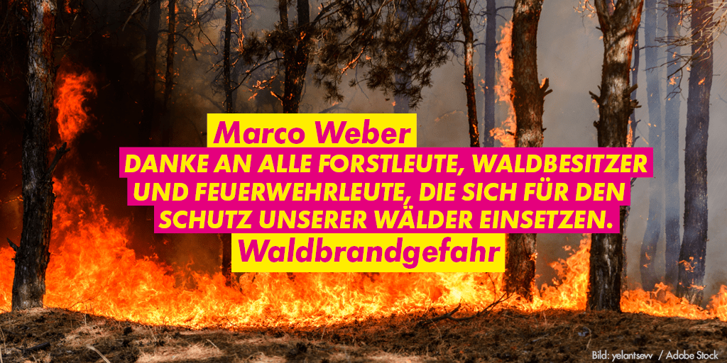 FDPFraktionRLP's tweet photo. Die Bilder der #Waldbrände in diesem Sommer machen sehr betroffen und sind sehr besorgniserregend. Der extrem trockende #Sommer hat die #Wälder in #RLP weiter geschwächt. Die #Waldbrandgefahr beschäftigte uns im letzten Ausschuss für #Umwelt und #Forsten im @ltrlp. 1/x #ltrlp https://t.co/EvFRnNTvRJ