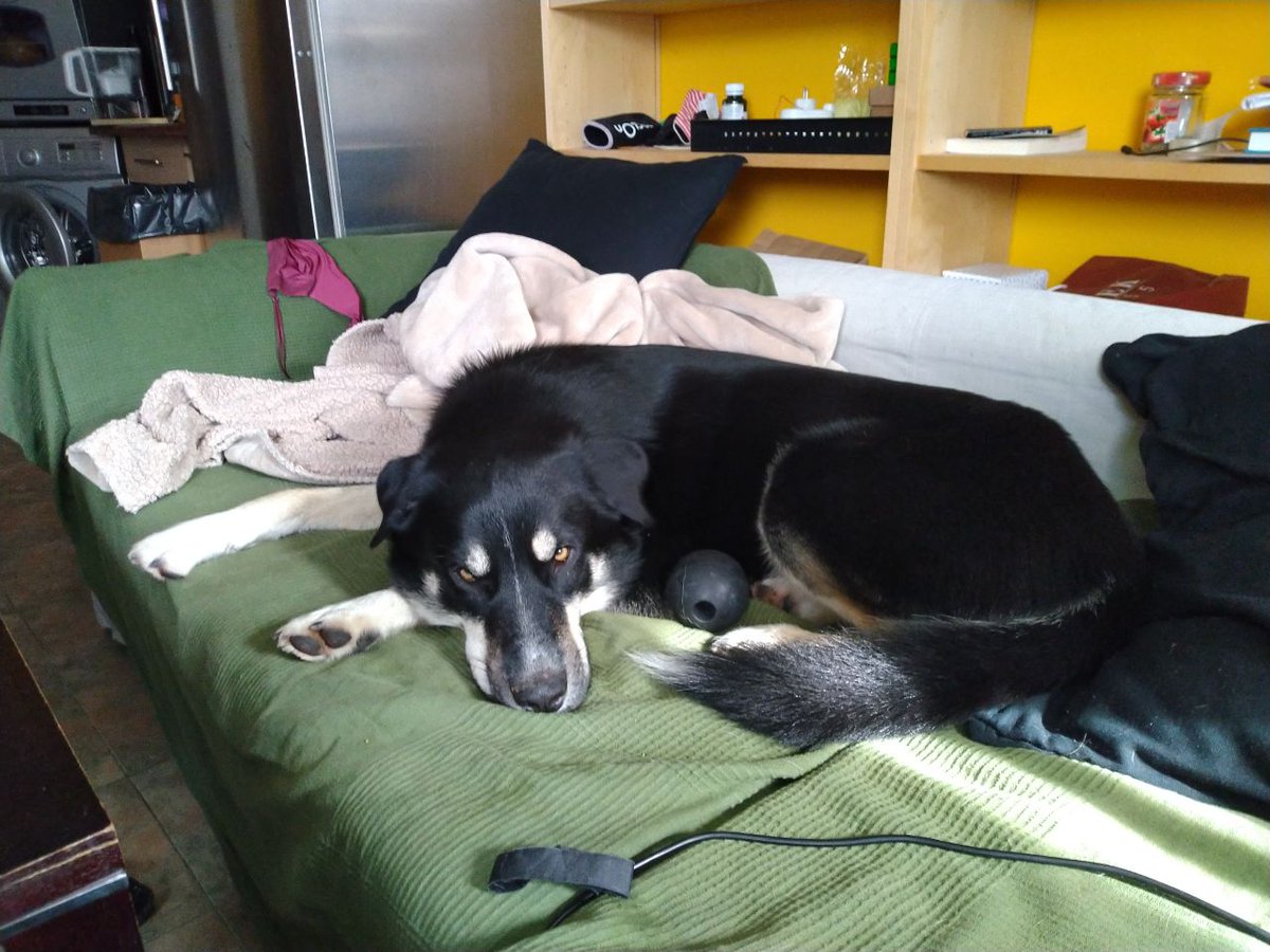 elettln's tweet image. Pirin the zmei. The finished piece, a progress pic and a photo of my very messy room.