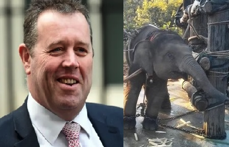 stae_elephants's tweet photo. MARK SPENCER MP (shown), who’s blocked new law saving elephants from torture as “unTory”, and ignored demands to justify his position that tourism profits justify elephant brutality, now appointed an environment Minister in Truss Govt!
@StephSpyro  @NottinghamPost https://t.co/JeNbfsZvhe