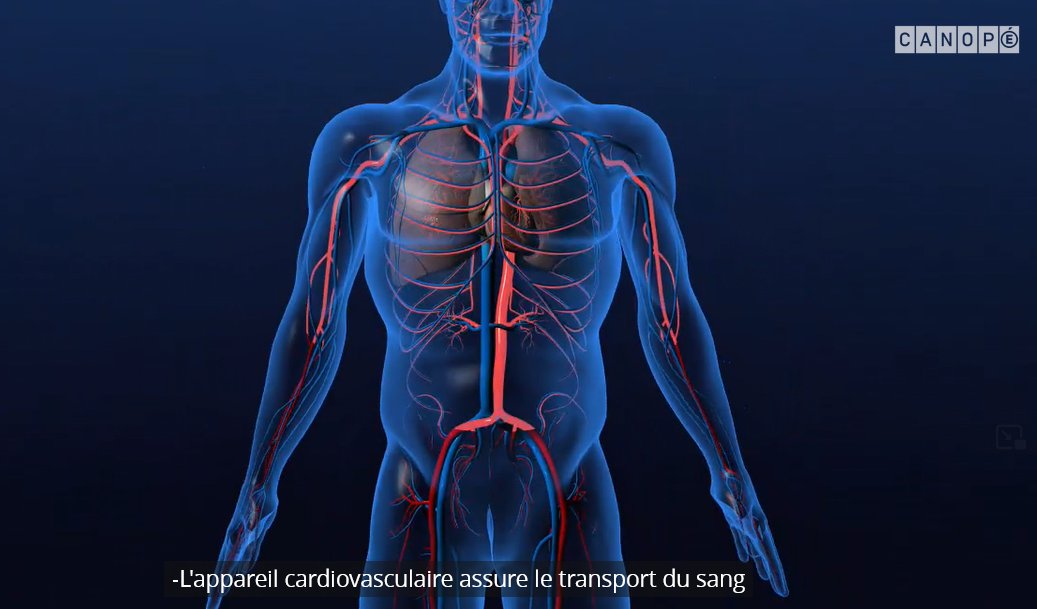 biotech_edu_num's tweet photo. [🔴 #TRaAM 2021-2022] : Appareil #CardioVasculaire : apports théoriques et activités en ligne - un parcours d'apprentissage injectable dans les ENT et @moodle - #STL #Biologie #ST2S #BPH #CBPH  cc @acpoitiers @DanePoitiers @reseau_canope @eduscol_SVT 
➡️  https://t.co/z9MobRCchy https://t.co/xHjaQEU5I0
