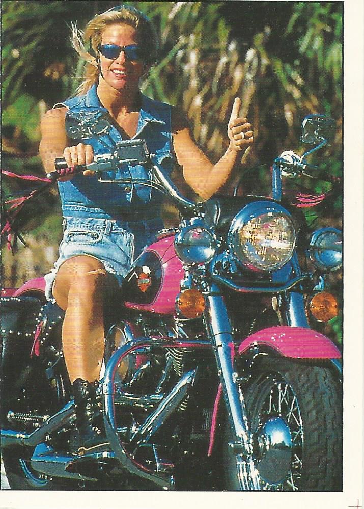 Wrestling Cards Worldwide tweet media