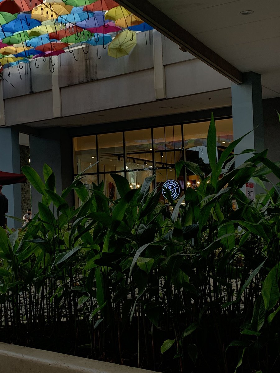 study with lei 🥠 (@naiomilayne) on Twitter photo 