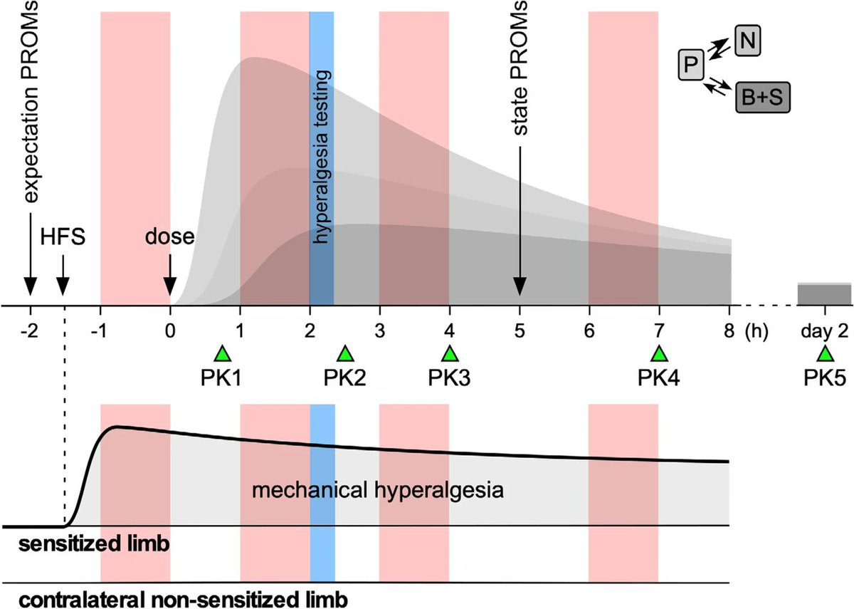 IMI2-PainCare-BioPain-RCT2
protocol: a randomized, double-blind,
placebo-controlled, crossover, multicenter trial
in healthy subjects to investigate the effects
of lacosamide, pregabalin, and tapentadol
on biomarkers of pain processing trialsjournal.biomedcentral.com/articles/10.11…