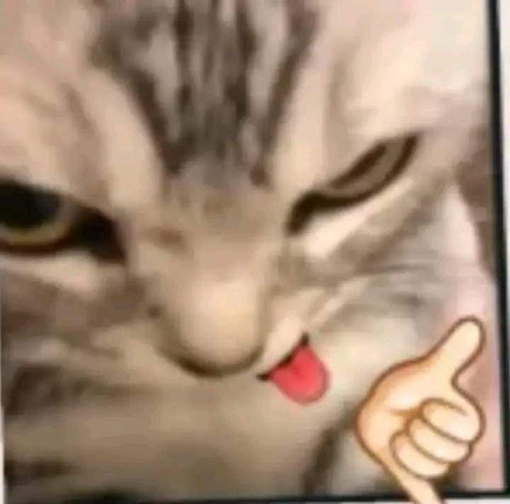 Velentine__'s tweet image. Aquí vamos de nuevo jiji
Gente que ya este en el server de discord, se les proporcionara la información en unos días🤺
Tienen hasta el 14 de Septiembre para mandarme mensaje 💃