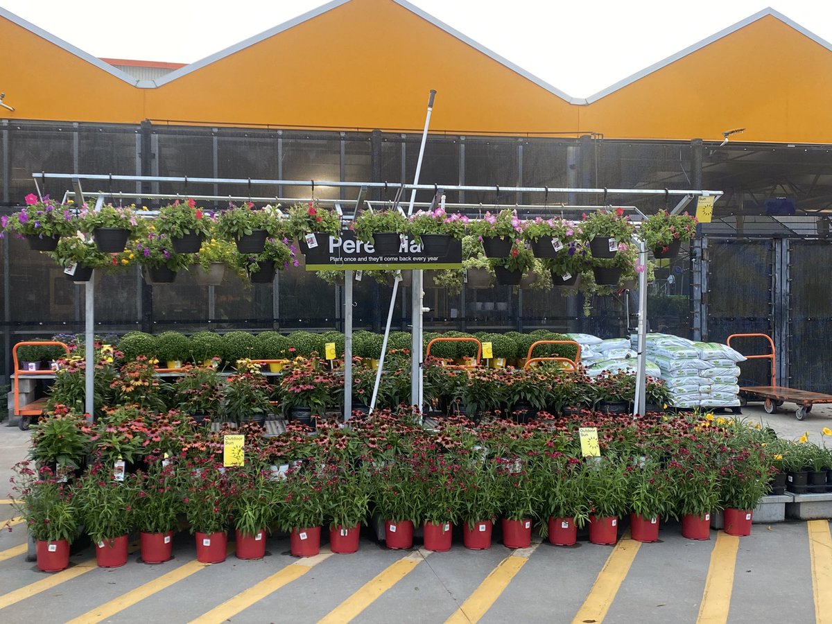 Kelvin M tweet media