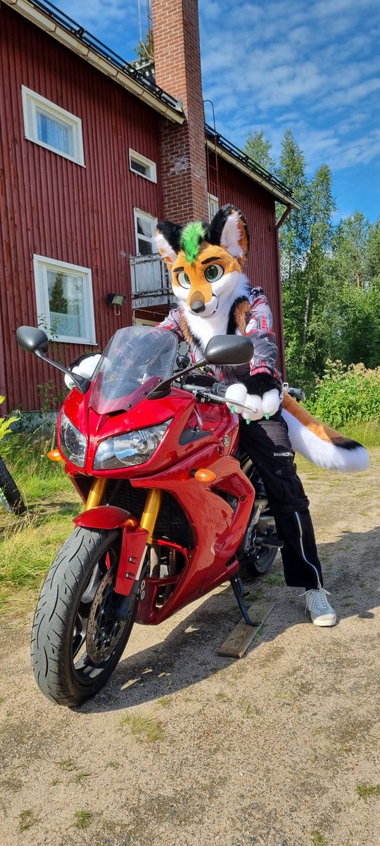 Greenhead tweet media