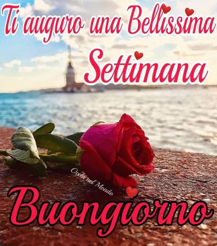adrianofg58's tweet photo. @VeronicaAccurso https://t.co/4ldBkNcXcI
