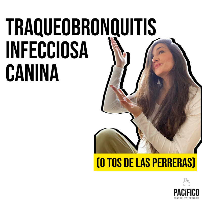 CVPACÍFICO tweet media