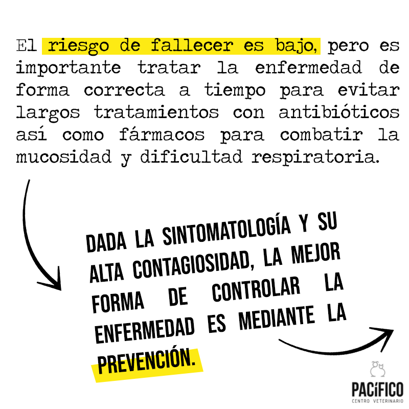 CVPACÍFICO tweet media