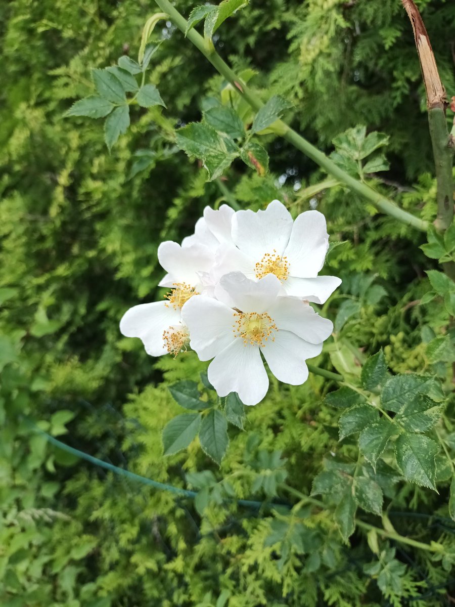 Wir konnten das Haus in Hirschthal leider nicht erwerben, weshalb wir keine weiteren geistlichen Einkehrzeiten anbieten können. Wir bitten um Verständnis.