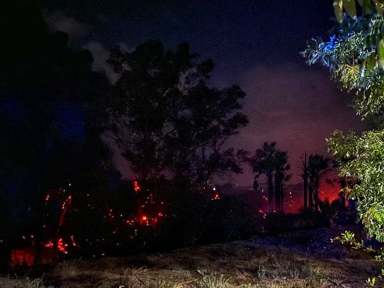 La totalidad de los efectivos del Parque de Bomberos de #Montilla actúan en la extinción de un incendio forestal. Las llamas obligaron al corte de la vía ferrea hasta su extincion. bit.ly/3B5iCX3