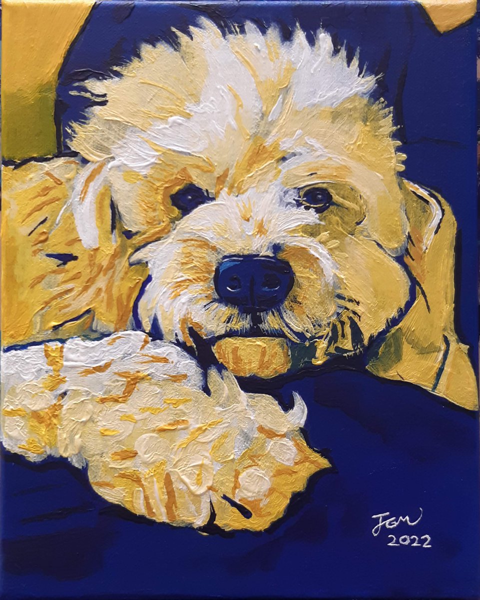 'Kayden', 2022, Acrylic on canvas, 30 x 24 cm (11.8 x 9.4 in)

#art #artist #painting #acrylicpainting #dog #dogpainting #cavapoo #cavapoopainting #dalerrowney #petportrait #petportraitpainting #dogacrylicpainting