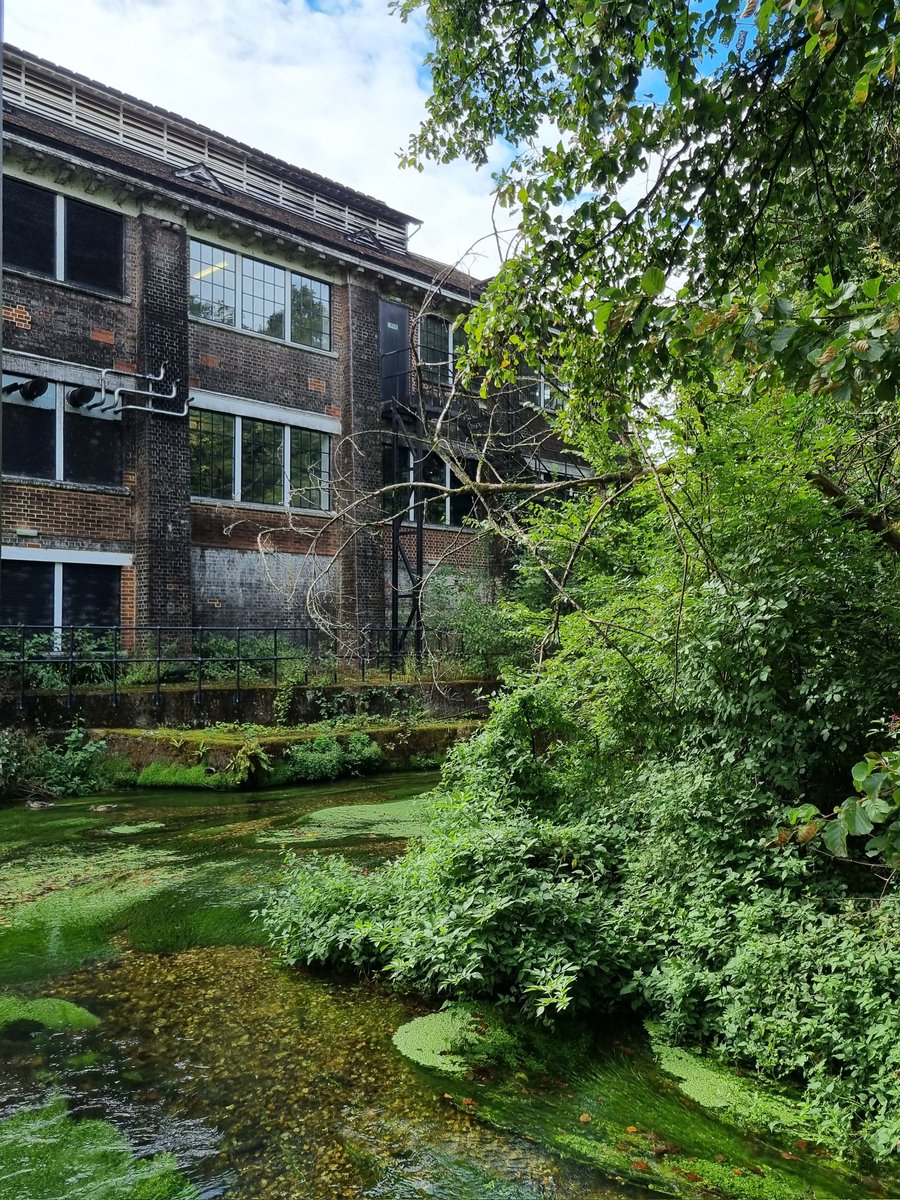 vMrHuNTeRv's tweet image. Great way to start the weekend. Very relaxing tour  😃 #bombaydistillery