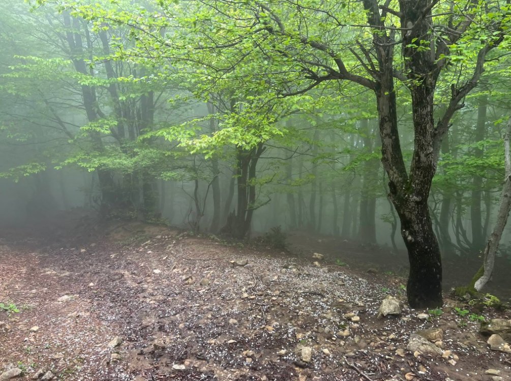 طریق خلخال الي اسالم في شمال ايران

صورة: علي صالحي 
@ali_salehi1366
#شمال_ايران #السفر #صيف