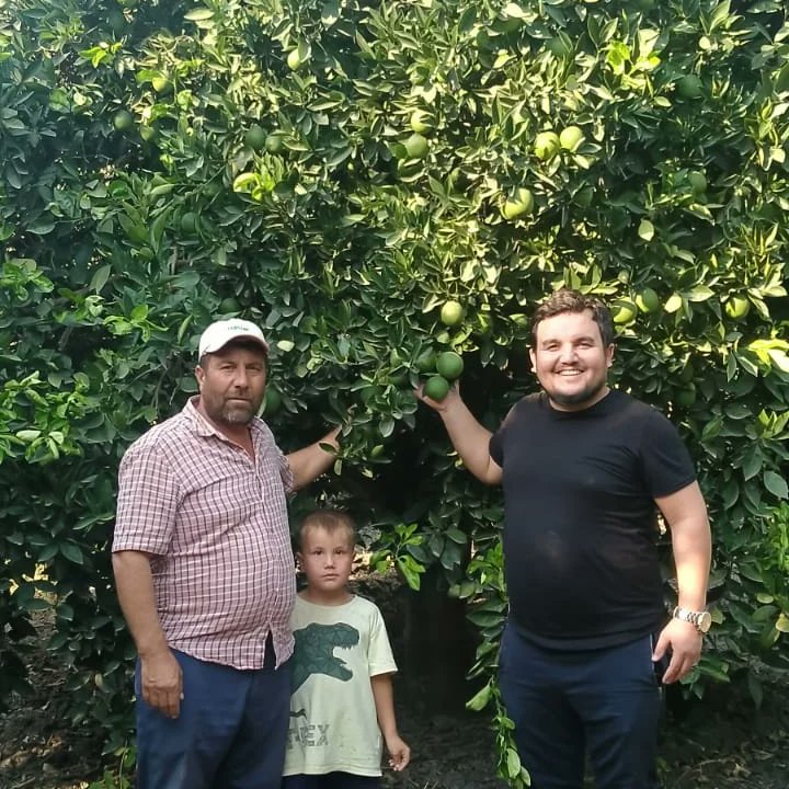 HidayetTufan1's tweet photo. 📍YASSIÇALI KÖYÜNDEN,
🔶Narenciye Üreticimiz,
Ramazan GÖÇER Abimizin Bahçesini ziyaret ettim...✍️
👉 Hastalık, #zararlı ve #gübreleme konusunda tavsiyelerde bulundum. 
#Unlubit ,#Pasböcüsü ve #Akdenizmeyvesine��i hakkında bilgilendirdim.
Tarımda Başarının anahtarı #HTAGRO. https://t.co/ROdUaMG19q
