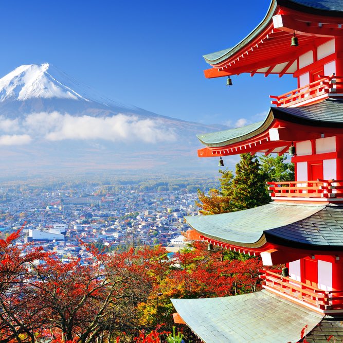 animeofr's tweet photo. 🚨L’ouverture complète du Japon pour les voyageurs étrangers devrait être décidée cette semaine ! 🇯🇵 https://t.co/rByWgLLuOS