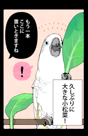 どっちも欲しいオウム 