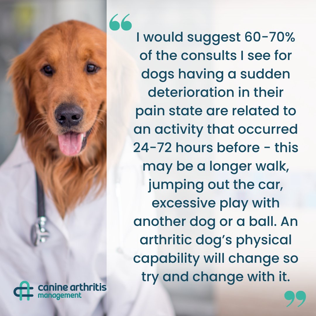 Hannah's two cents... #BluntMondays

Learn more about CAM's multi-modal approach from an inside perspective when you sign-up for the CAM member zone!
caninearthritis.co.uk/get-involved/b…
#YourDogMoreYears