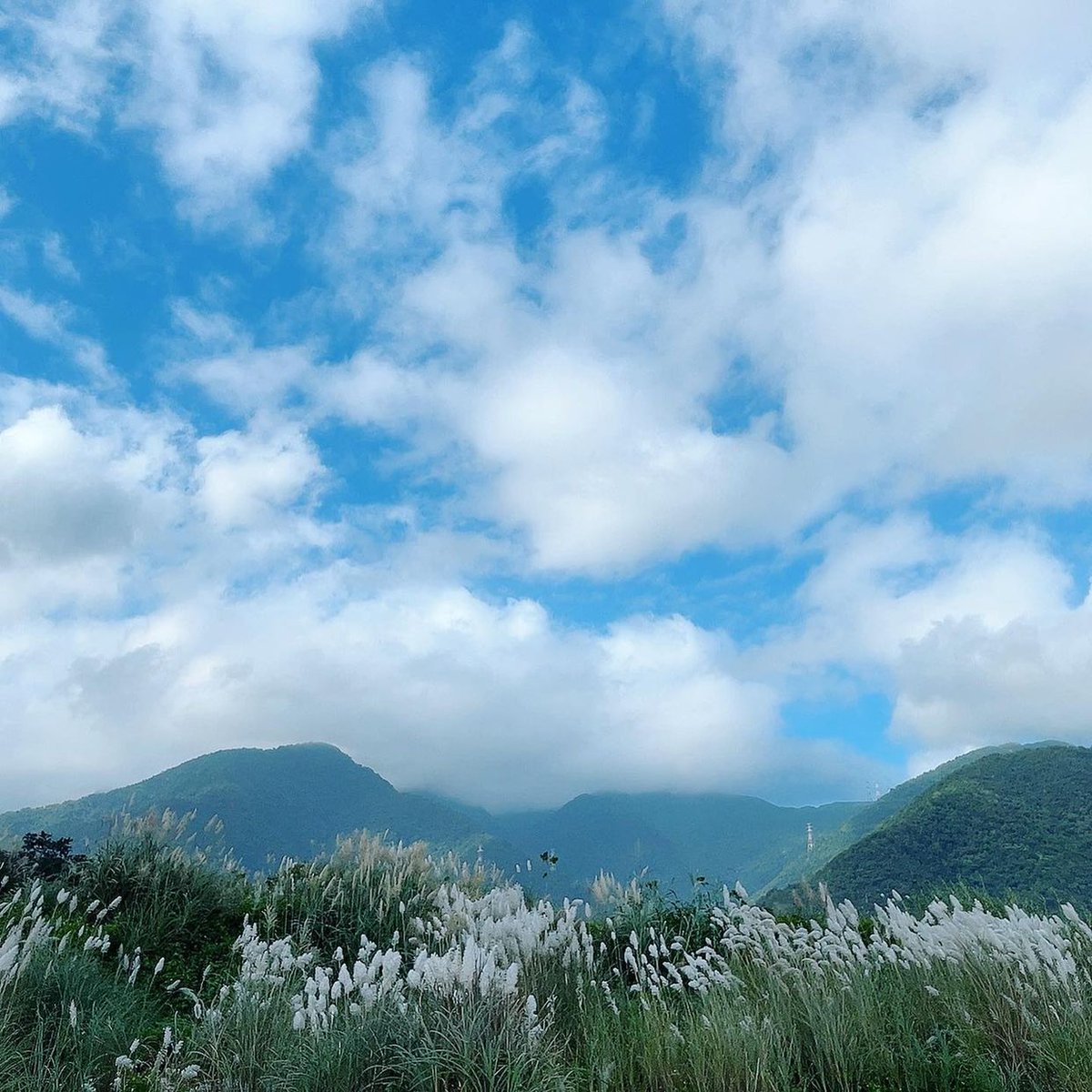 Liuwei0605's tweet photo. The scenery and air here are fresh https://t.co/uP9Xagbn84