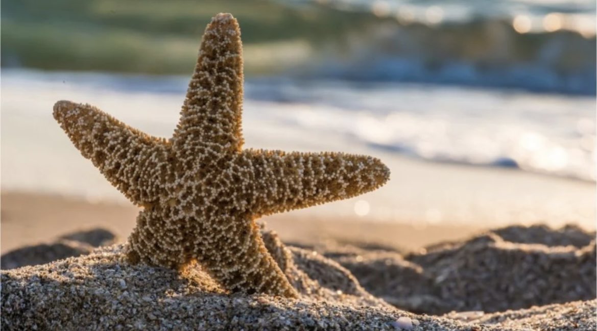 10 things to say to yourself every day:

I will believe in myself. 
I will have a good attitude. 
I will stay positive. 
I will be kind. 
I will be strong. 
I will have faith. 
I will be hopeful. 
I will be grateful for what I do have. 
I will keep trying
I will never give up!