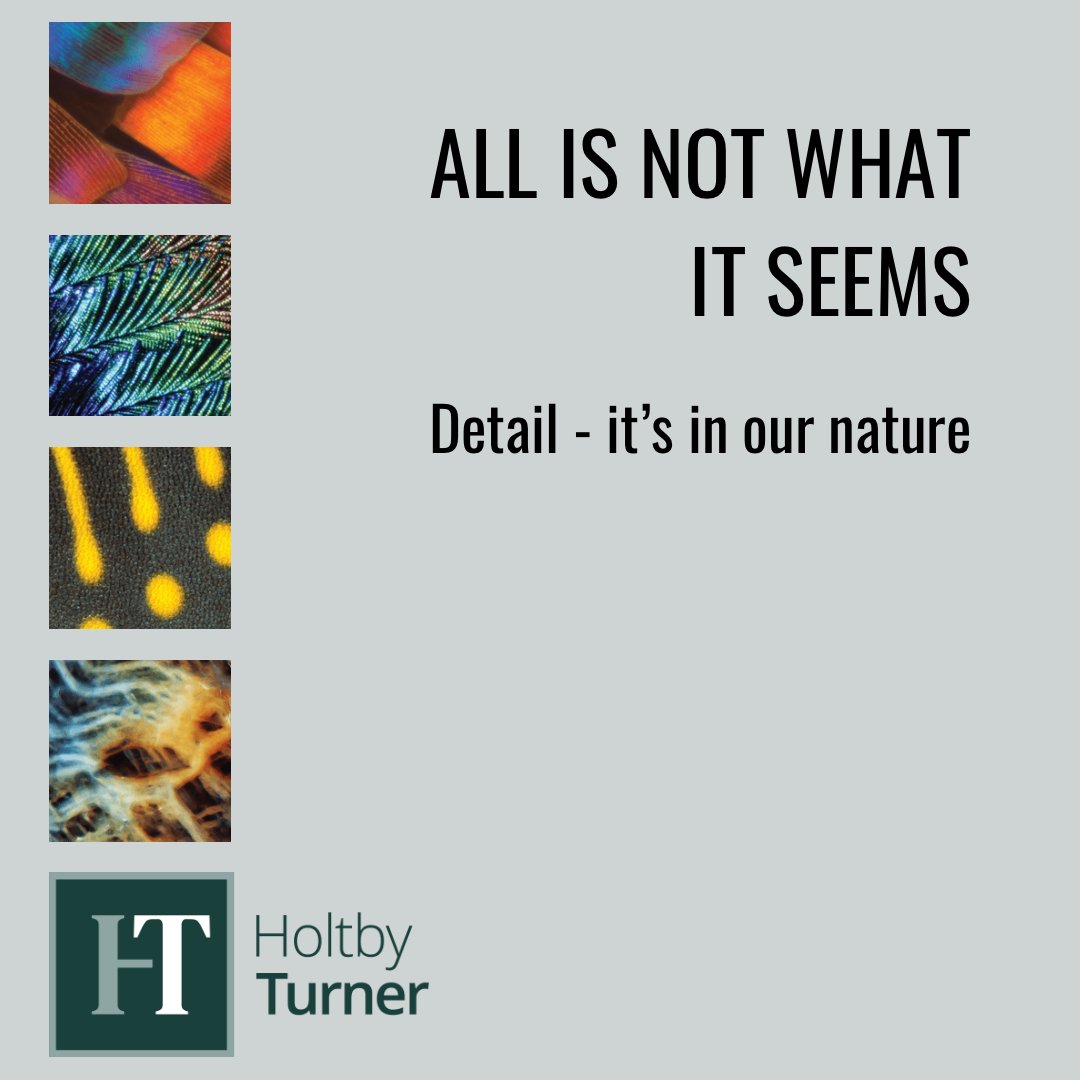 All is not what it seems. That's particularly true when it comes to selecting key hires. The secret is in the detail and that's why we're on hand to help make things less difficult. Get in touch for even more detail. #executivesearch #searchconsultant #property #recruitment #jobs