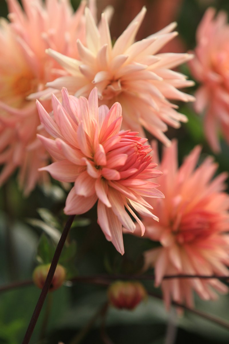 It is with great sadness that we learnt of the death of Her Majesty Queen Elizabeth II. We extend our deepest sympathies to His Majesty The King and all members of the Royal Family.

The House and Gardens will be closed for the funeral of Her Majesty The Queen on 19th September.