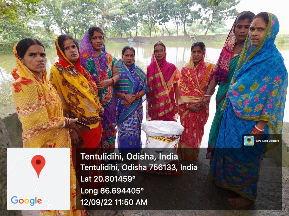 ChandbaliI's tweet photo. Sub- Fingerling stocking by Mother Teresa SHG under chandbali-I project @BhadrakDswo @DPMU_MS_Bhadrak https://t.co/3ZAuSgtdGM