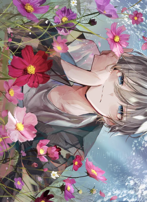 秋桜 