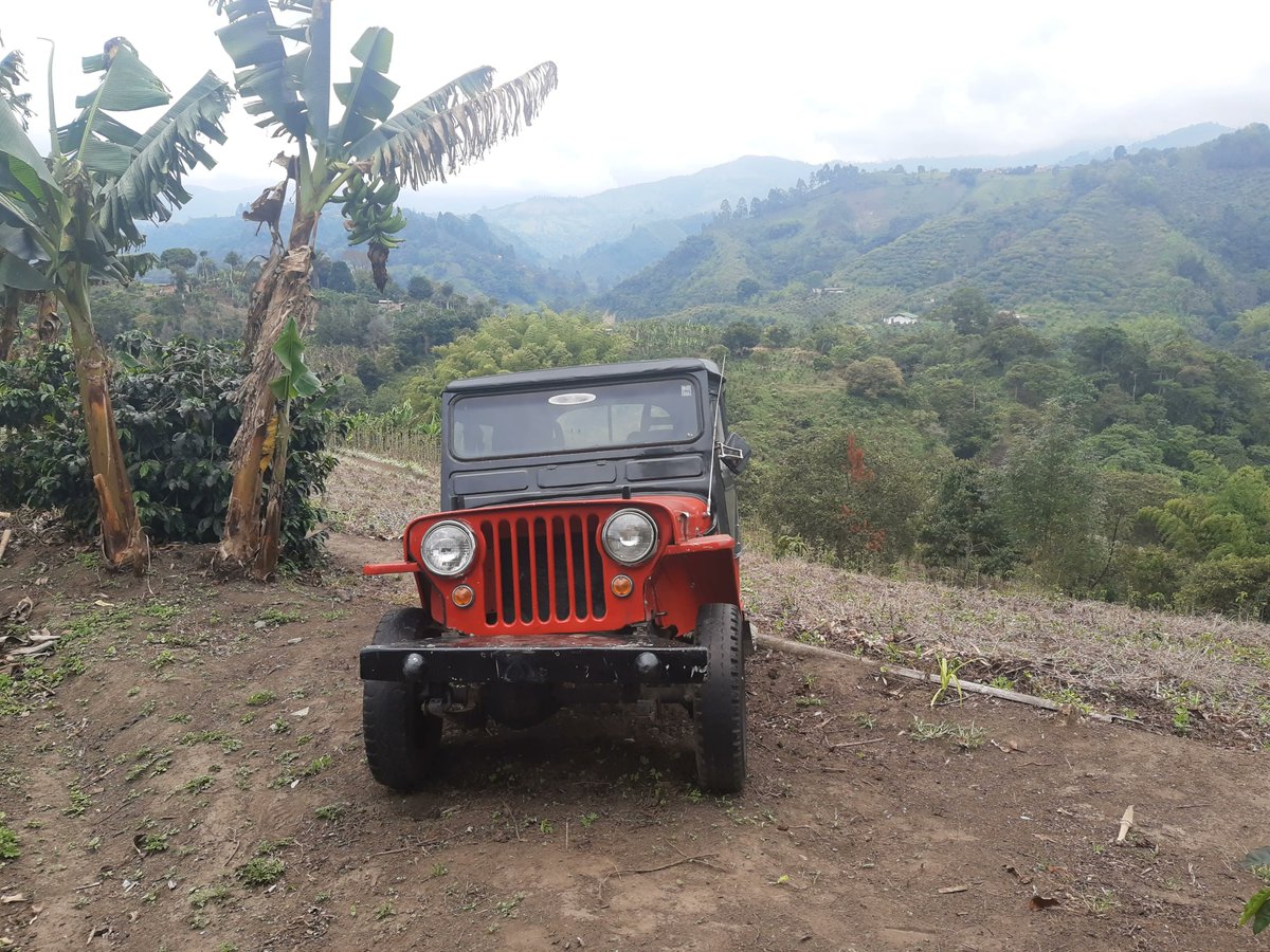 RuthMillington1's tweet photo. I spent part of Saturday at a Finca Buenos Aires coffee plantation up in the mountains near Salento, learning about how coffee is grown, harvested & brought to market.
#colombia #coffee #travel #solotravel #backpacking
#adventuretravel #explore #traveldiaries #Solento https://t.co/nVisXG6DCS