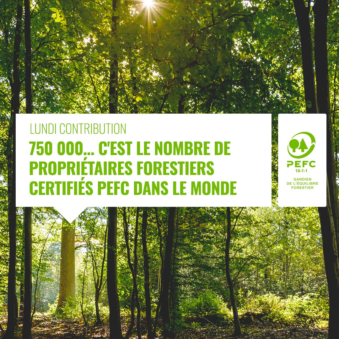 PEFCFrance's tweet photo. [#LundiContribution] 750 000... c'est le nombre de propriétaires forestiers certifiés PEFC dans le monde ! 🌲 Depuis 20 ans, PEFC favorise l’équilibre entre les dimensions environnementales, sociétales et économiques de la #forêt. 👇  
https://t.co/px951G3muE 

#Forêt #Bois #RSE https://t.co/1rfbgxXqjK