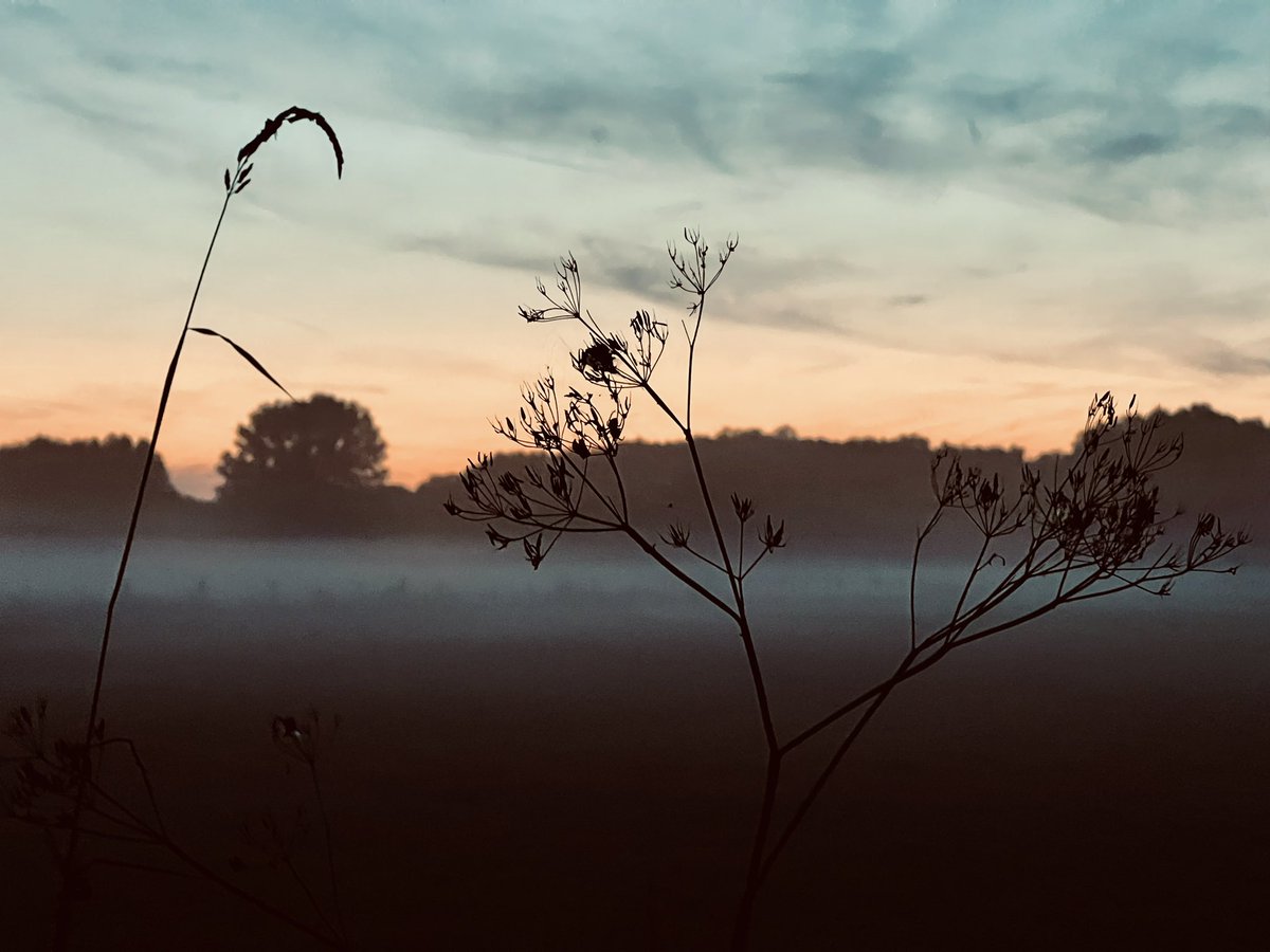 Evening Walk
#nature #fotografie #foto