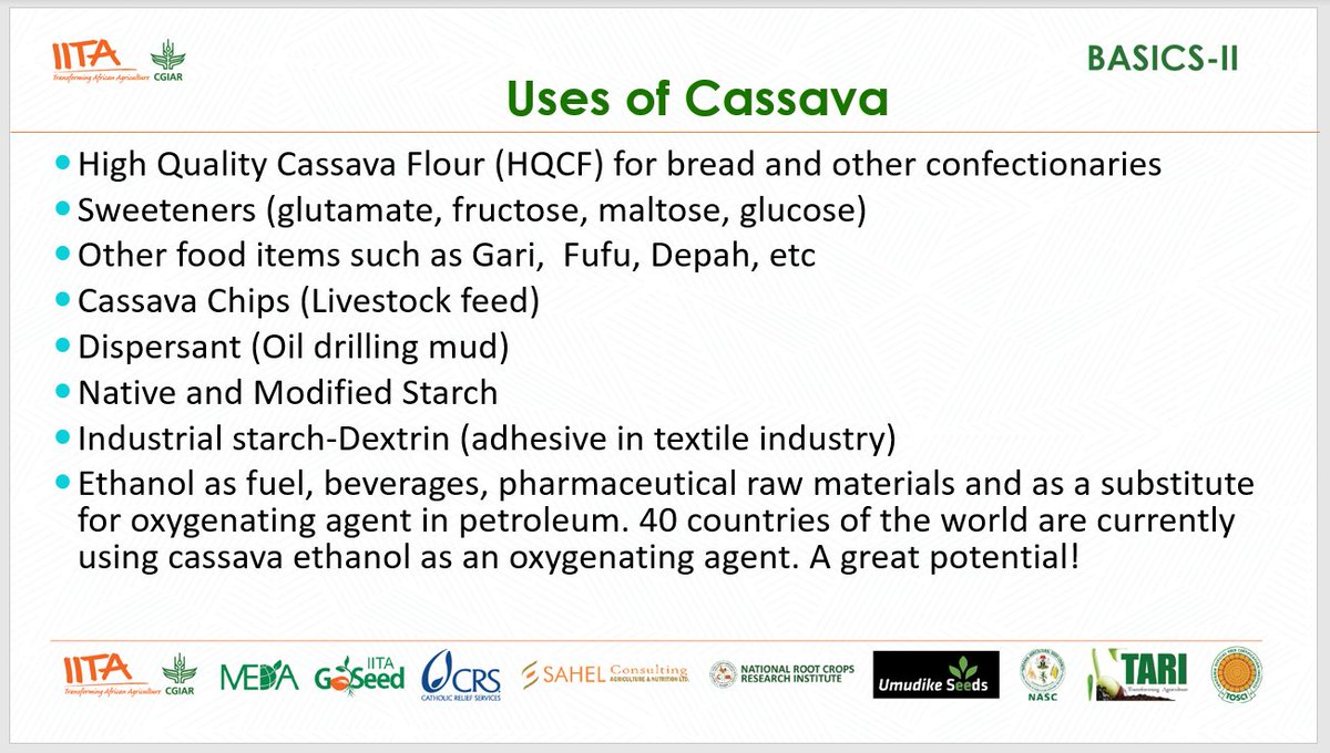 GodwinAtser's tweet photo. Cassava is more than #gari and #akpu... A great potential!
Prof. Lateef Sanni unveils dozens of uses of #cassava... We need the #BASICSmodel to meet the demand. #AGRF2022 #BASICS-II #CIP #tinubu2023 https://t.co/8M4qTBQSjq