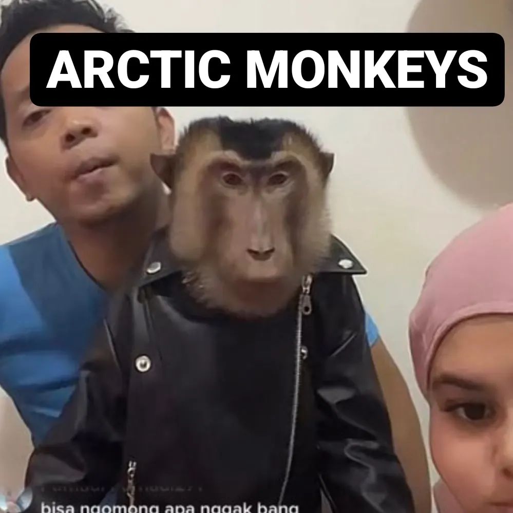 this house is a circus...