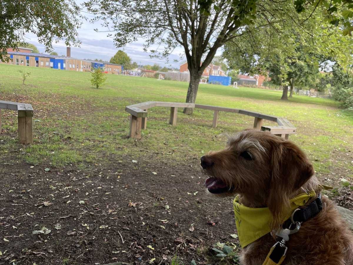 cilla_dog's tweet photo. Break time in between listening to the children reading @FarndonFieldsSc #readtodogs #petsastherapy #dogs #dogsofTwitter #Mondayvibes https://t.co/8Qbhd7SbhR