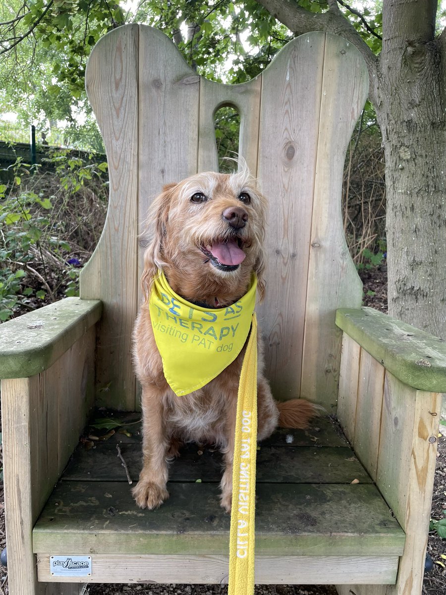 cilla_dog's tweet photo. Break time in between listening to the children reading @FarndonFieldsSc #readtodogs #petsastherapy #dogs #dogsofTwitter #Mondayvibes https://t.co/8Qbhd7SbhR
